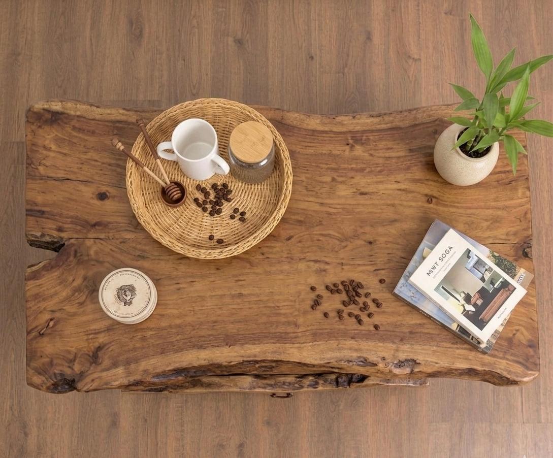 Timber Tree Wood Coffee table