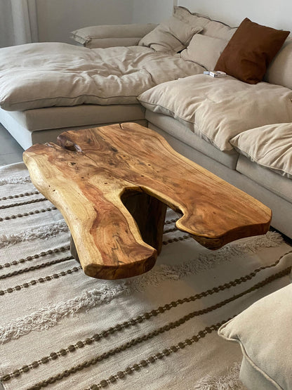 Tree wood coffee table